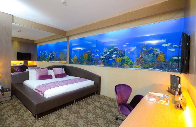 Aqua Room